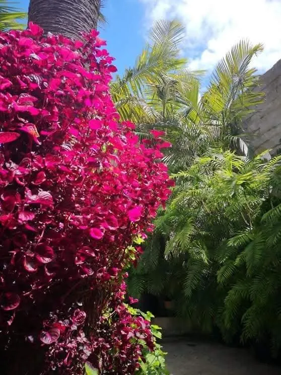 Holiday home Villa Pitta Vila Baleira